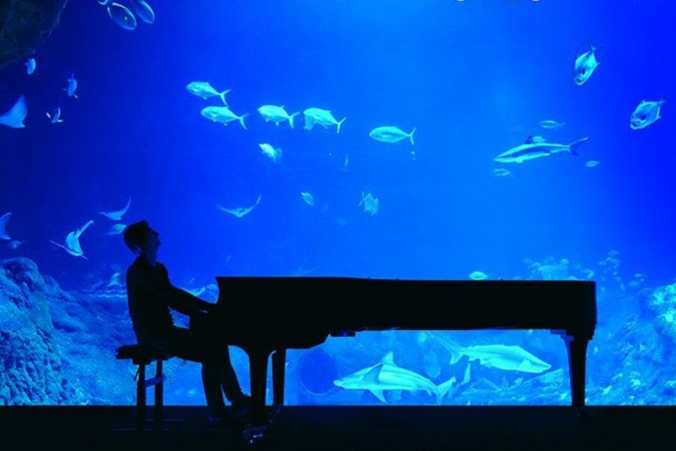 Klimatyczny koncert w tunelu Orientarium Zoo Łódź. Maciej Tubis zaczaruje publiczność