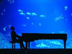 Klimatyczny koncert w tunelu Orientarium Zoo Łódź. Maciej Tubis zaczaruje publiczność