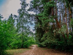 Park Lotników