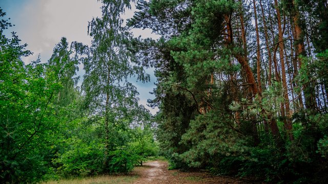 Park Lotników uchwalony. Na Lublinku będzie jeszcze więcej chronionej zieleni [ZDJĘCIA]