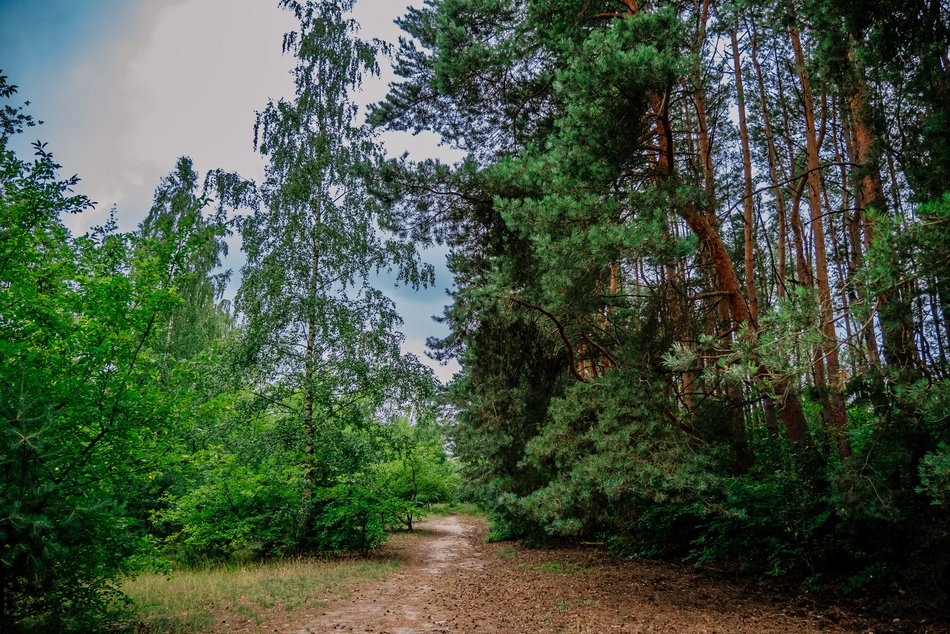 Park Lotników