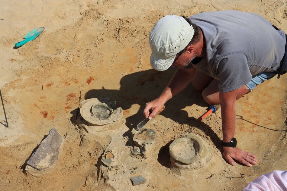 Łódź. Wykopaliska sprzed 3 tysięcy lat! Archeolodzy z Uniwersytetu Łódzkiego odkryli prawdziwe skarby