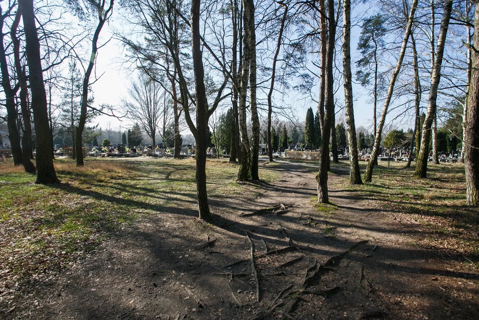 Las Pamięci na cmentarzu Szczecińska