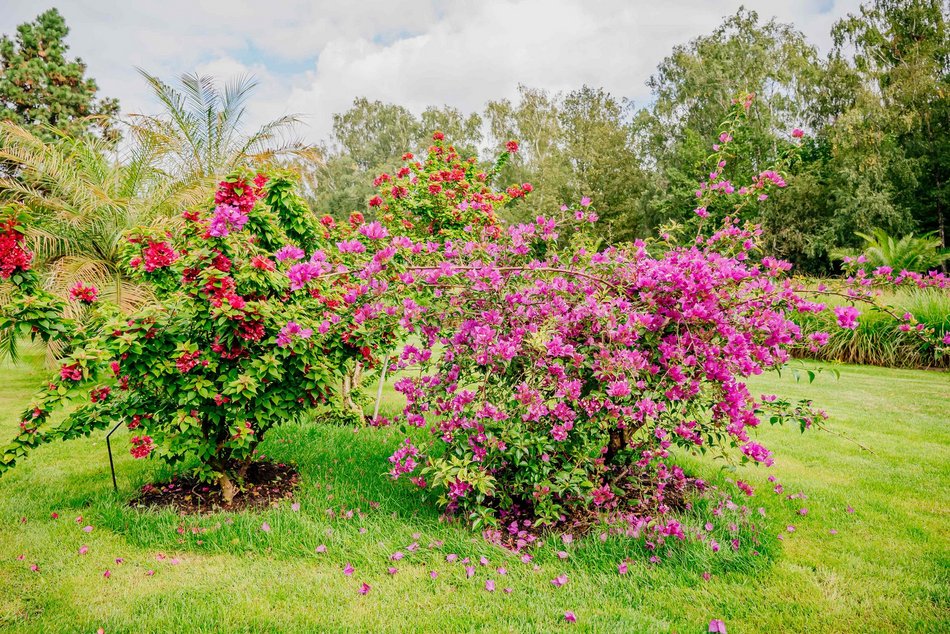 Łódź. Jesień w Ogrodzie Botanicznym w Łodzi. Tam z pewnością pokochasz tę porę roku!