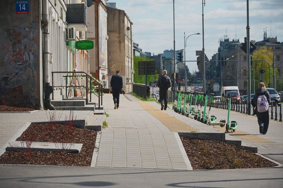 Łódź. Zielona rewolucja na Lutomierskiej w Łodzi. Posadzili ponad 20 nowych drzew!
