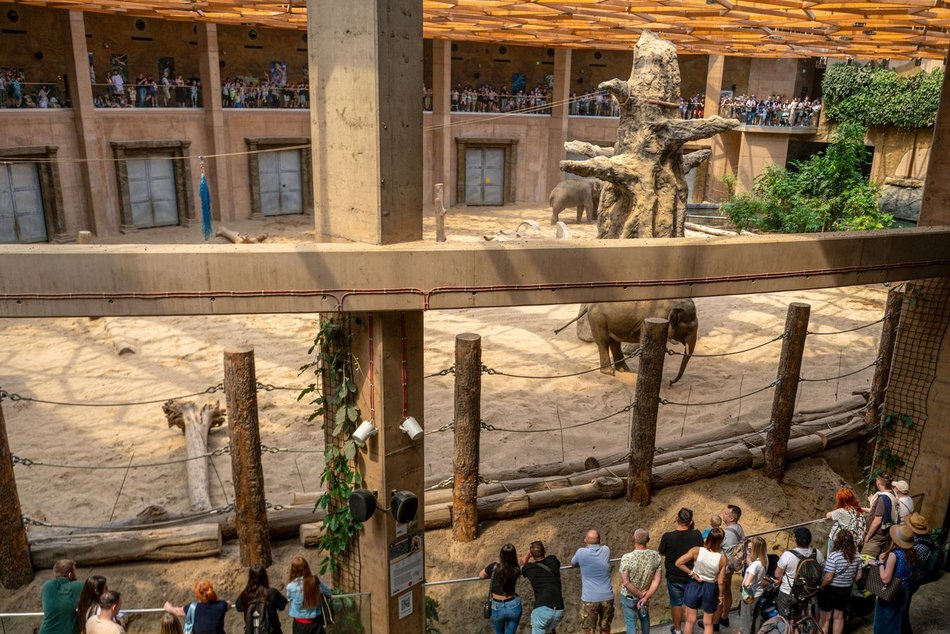 Łódź. Kwiecień w Orientarium Zoo Łódź. Nowe godziny otwarcia, darmowe zwiedzanie i więcej