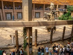 Łódź. Kwiecień w Orientarium Zoo Łódź. Nowe godziny otwarcia, darmowe zwiedzanie i więcej