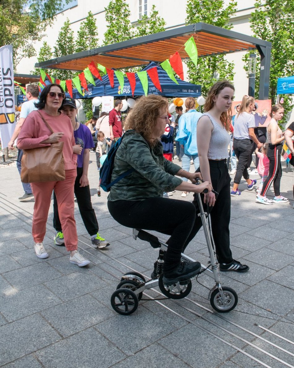 Majówka u Majewskiego