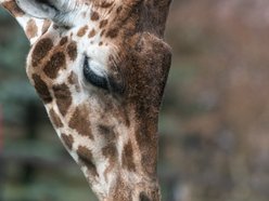 Orientarium Zoo Łódź