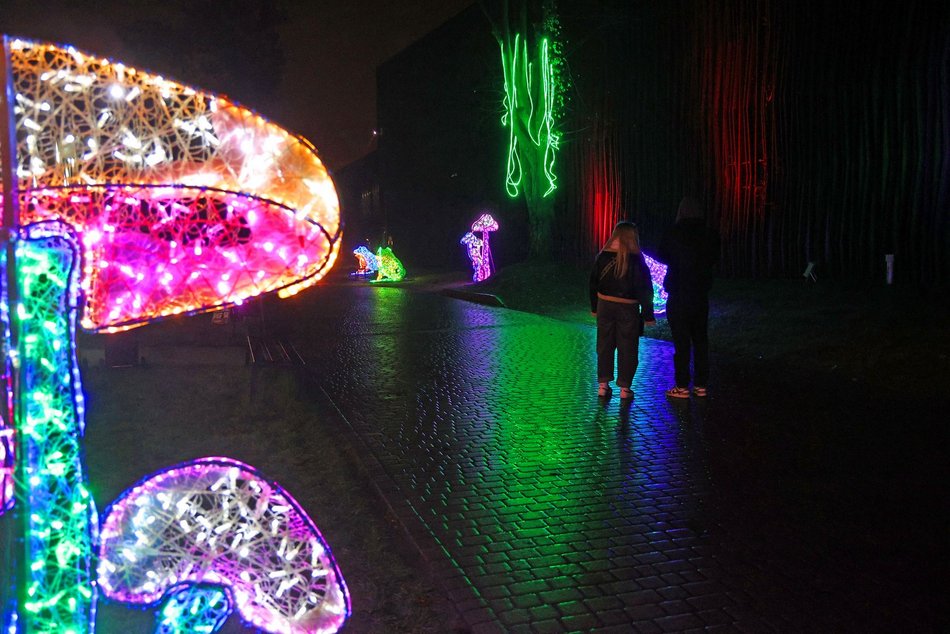 Park Miliona Świateł w Orientarium Zoo Łódź