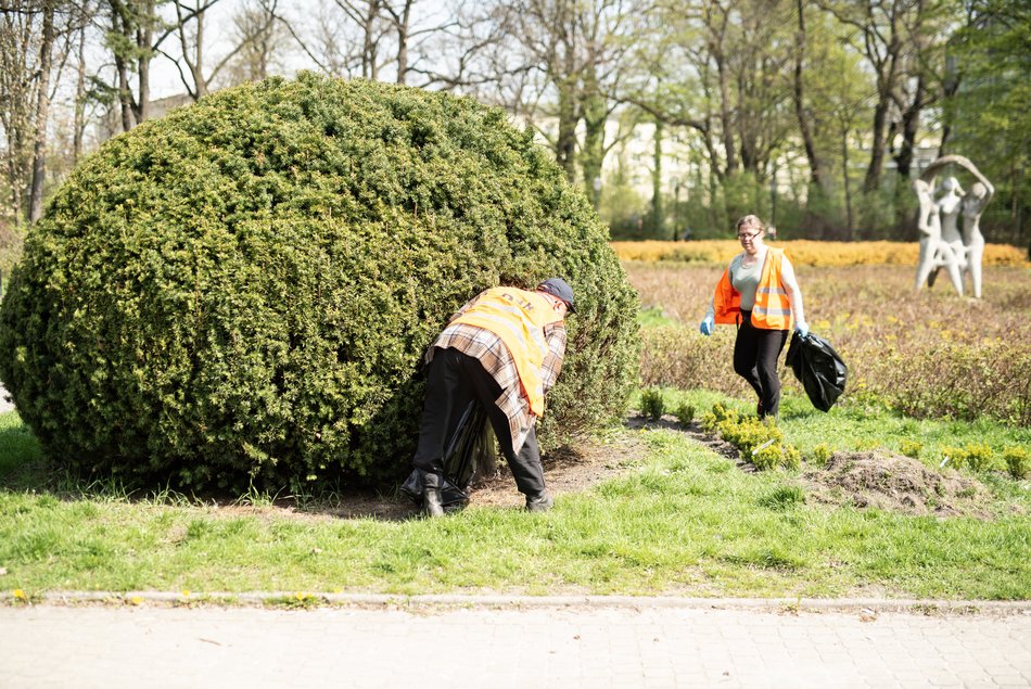 Sprzątanie parku w Łodzi