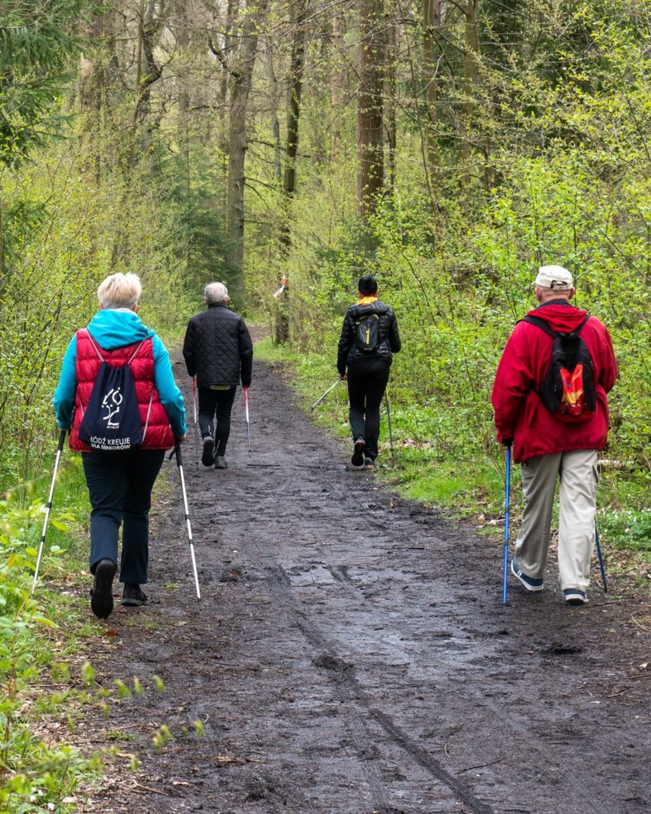 senirozy lodz nodic walking