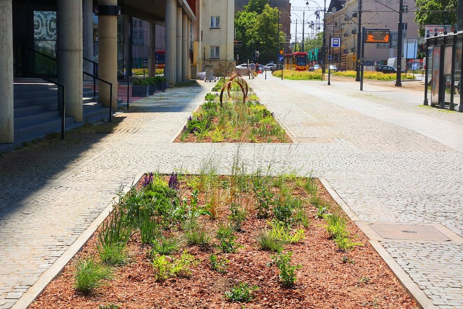 Łódź. Zieleń przy Bramie Miasta w Łodzi. Chwila oddechu w samym centrum