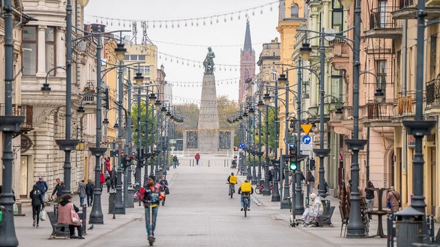 Posadźmy drzewa na Pietrynie! Weź udział w wyjątkowej akcji [SZCZEGÓŁY]