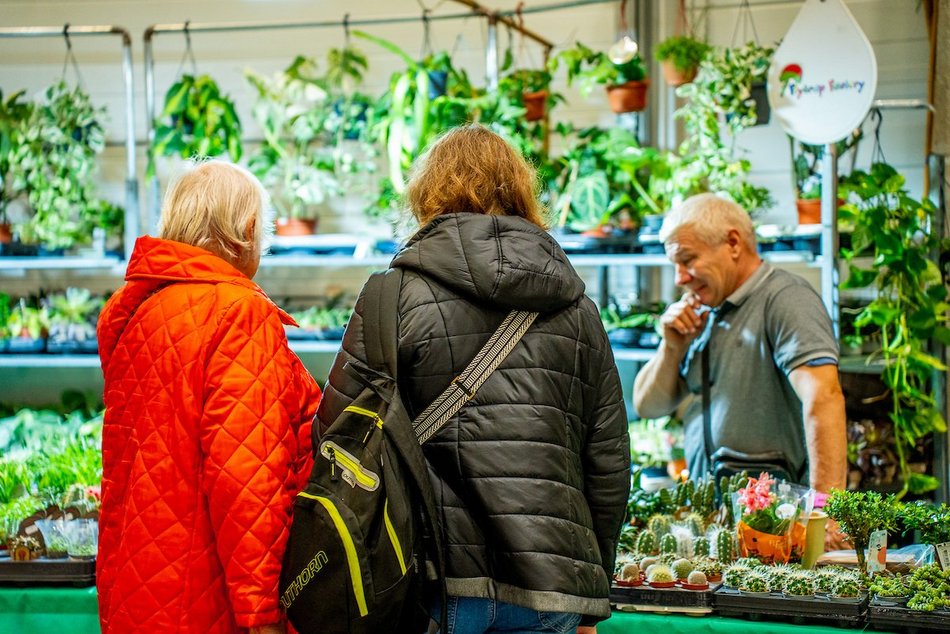 Łódź. Odkryj prawdziwą magię kamieni! Trwają Targi GemstoneExpo