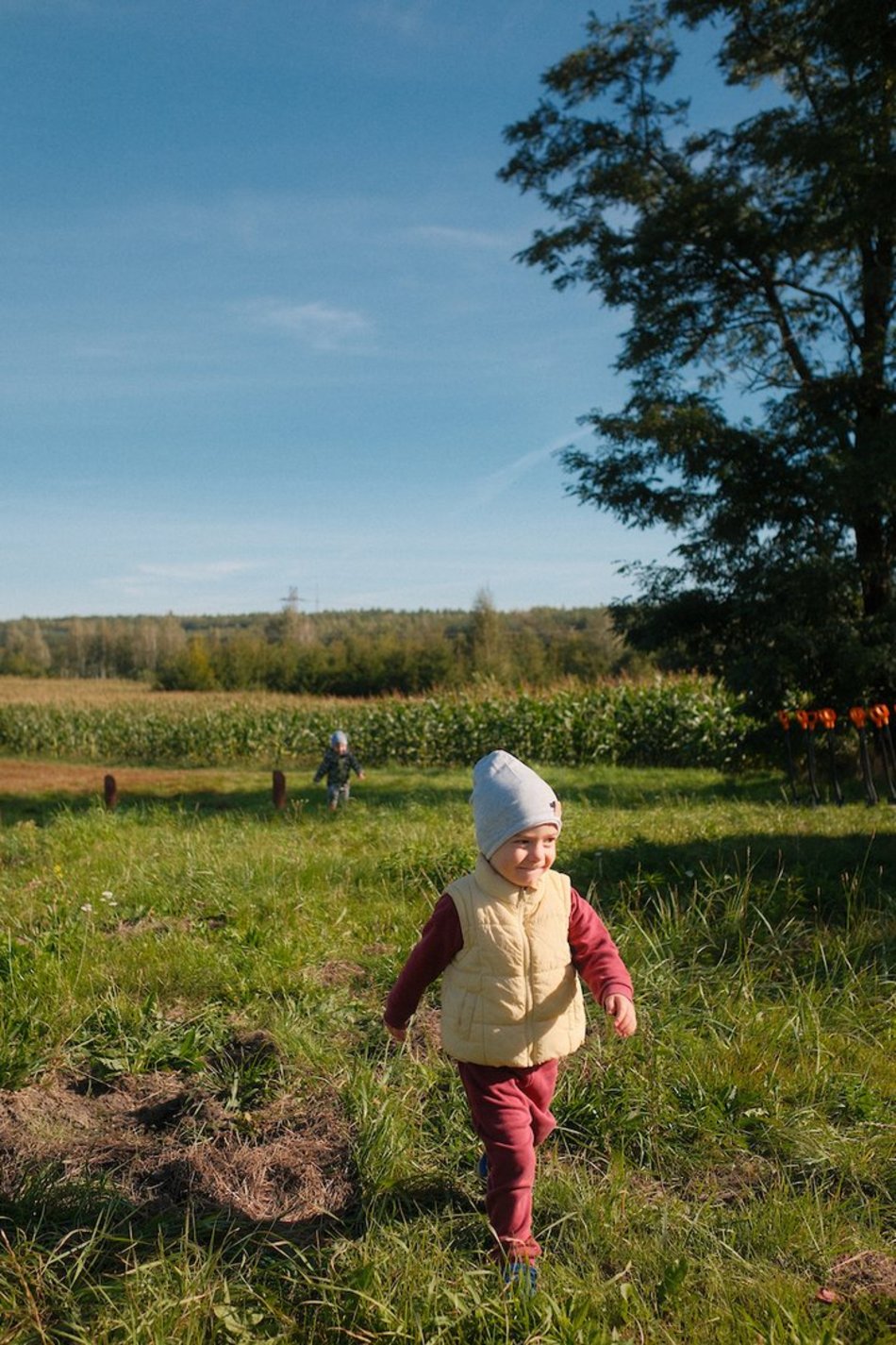 Las Młodej Łodzi powiększył się! Nowe dęby i lipy na pamiątkę narodzin dziecka