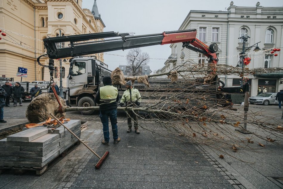 Łódź. Zielona metamorfoza Piotrkowskiej!
