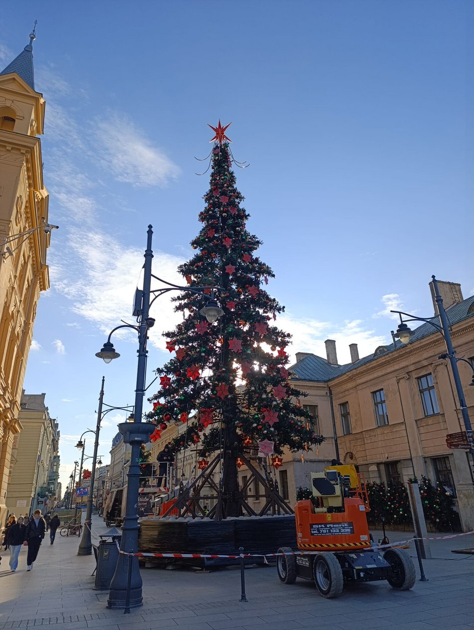 Łódź. Choinka na Piotrkowskiej prawie gotowa