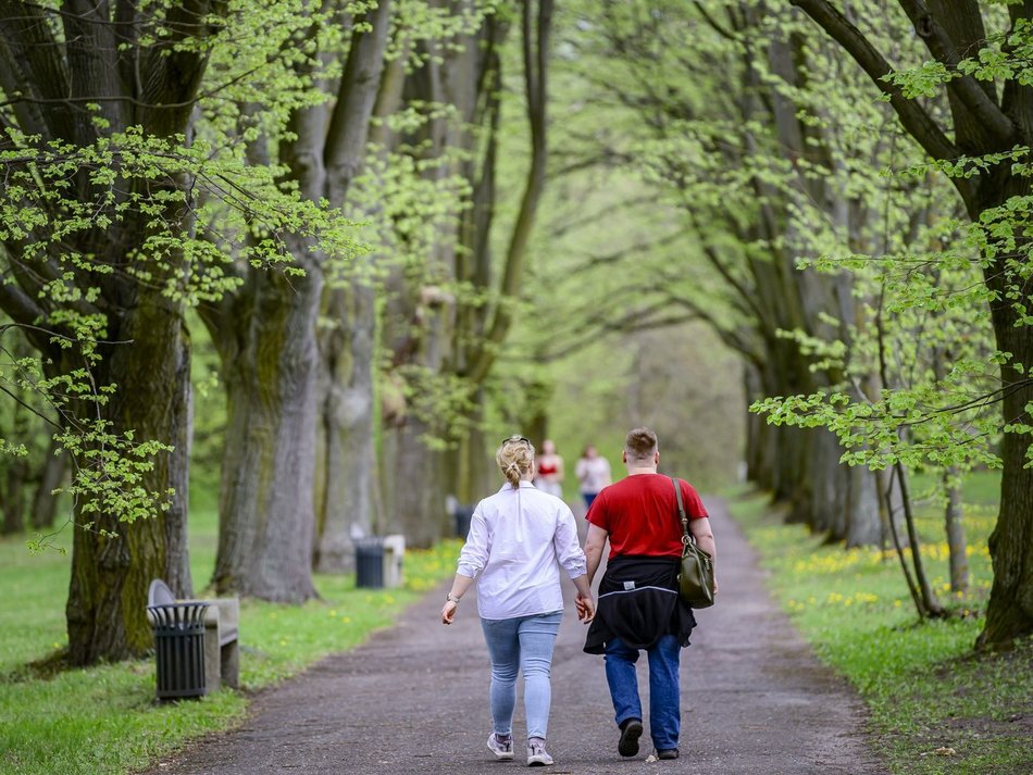 Łódź. Ogród Botaniczny w Łodzi