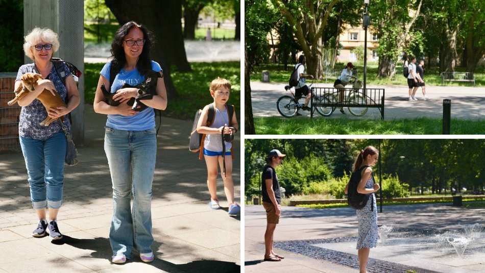 Łódź. Park Staromiejski w letnim wydaniu. Rowerzyści, dzieci i spacerowicze z pieskami