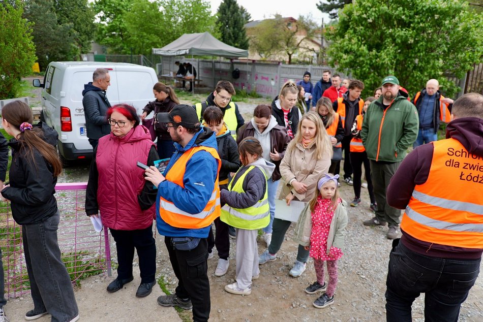 Łódź. Psy ze schroniska w Łodzi na spacerze z Łodzianami! Akcja "WYBIEGAJsŁODZIAKA" ma moc!