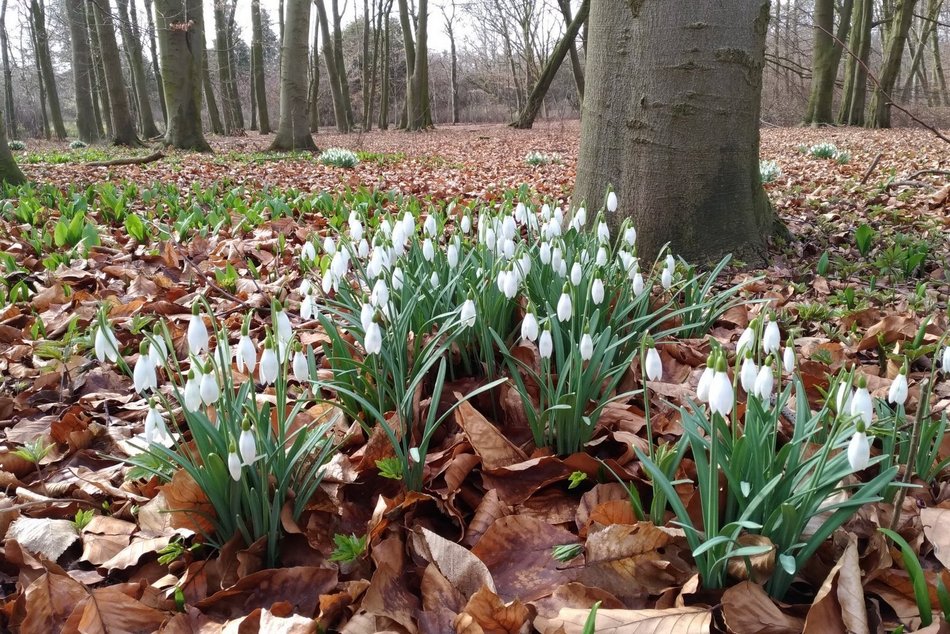 Co robić w Łodzi w pierwszy dzień wiosny? Targi rzeczy wyjątkowych, bazar w Ogrodach Geyera