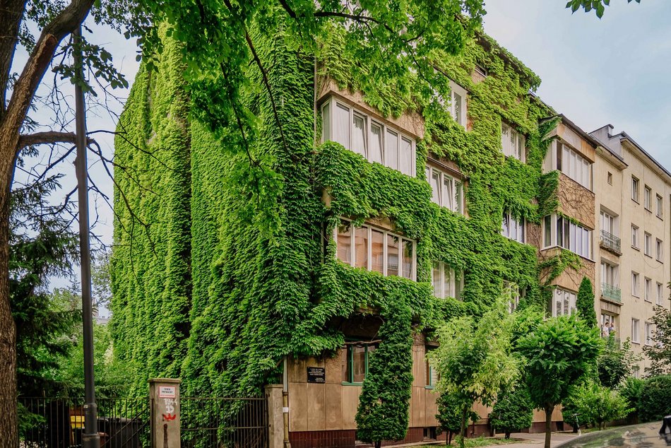 Łódź. To najbardziej zielona kamienica w Łodzi. Ten widok zapiera dech!