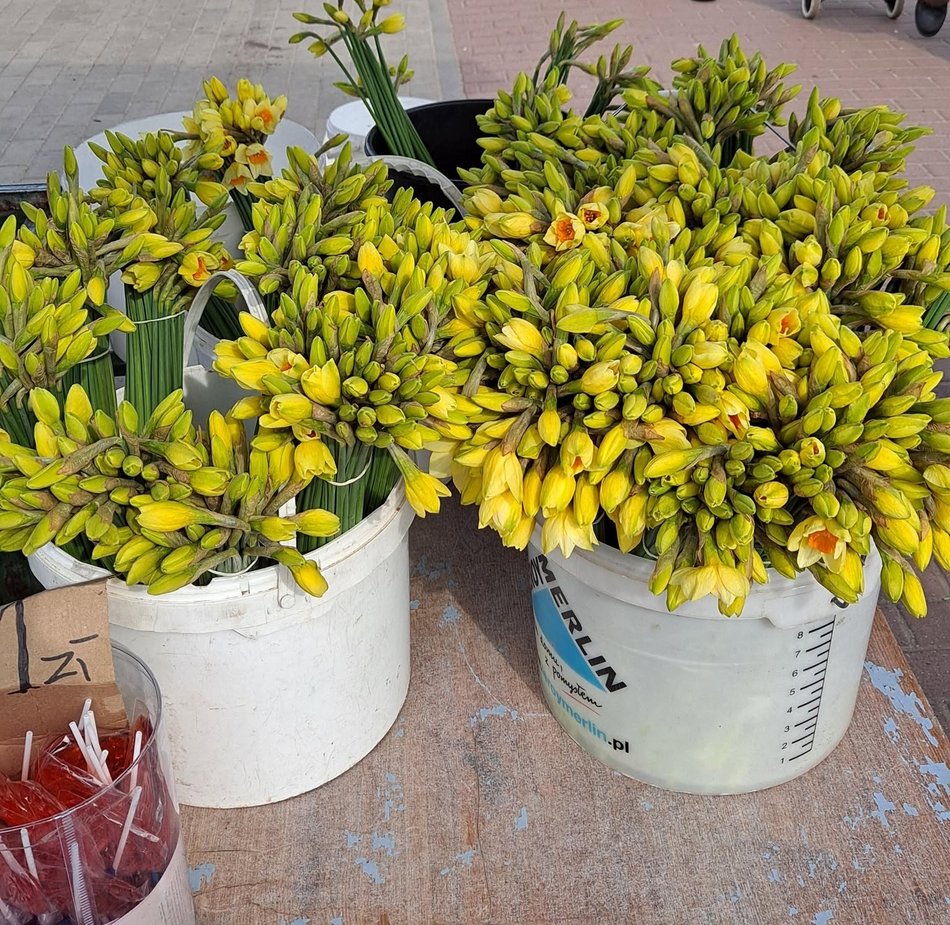 Łódź. Ceny na rynkach w Lodzi. Planujesz wielkanocne zakupy? Przygotuj się z nami!