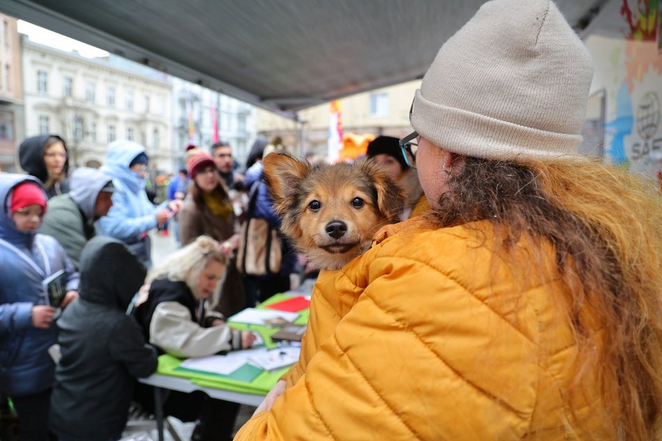 Parada Kundelków w Łodzi