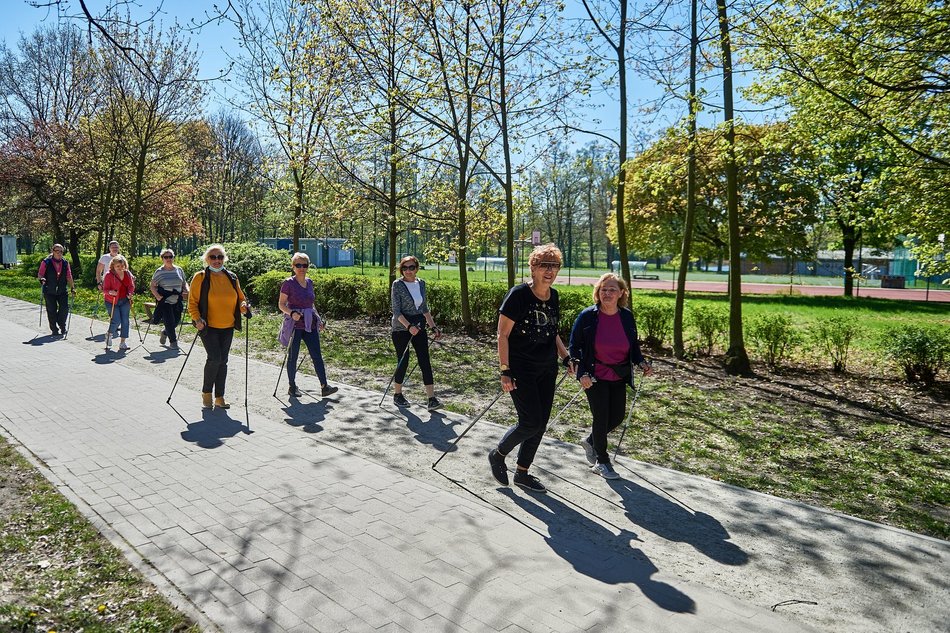 grupa seniorów na spacerze w lesie