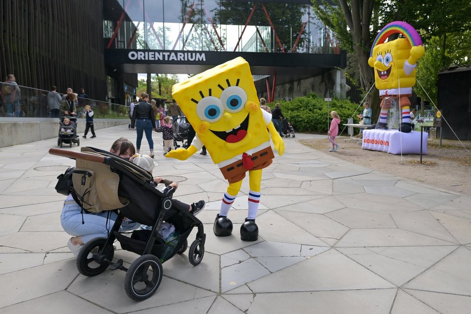 Spongebob w Orientarium Zoo Łódź