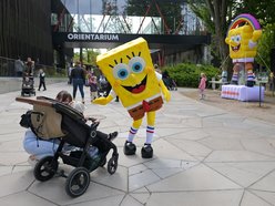 Spongebob w Orientarium Zoo Łódź