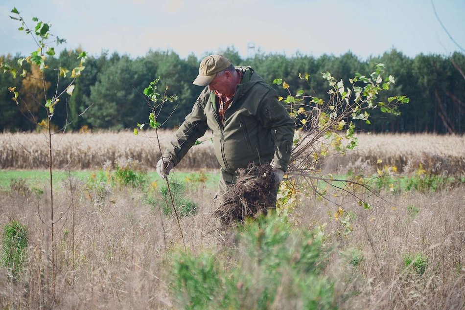 Łódź. Przybędzie aż 15 tysięcy nowych drzew