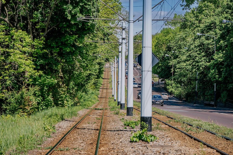 Łódź. Ponad 30 kilometrów najbardziej zielonych torowisk w Polsce? Oczywiście w Łodzi!