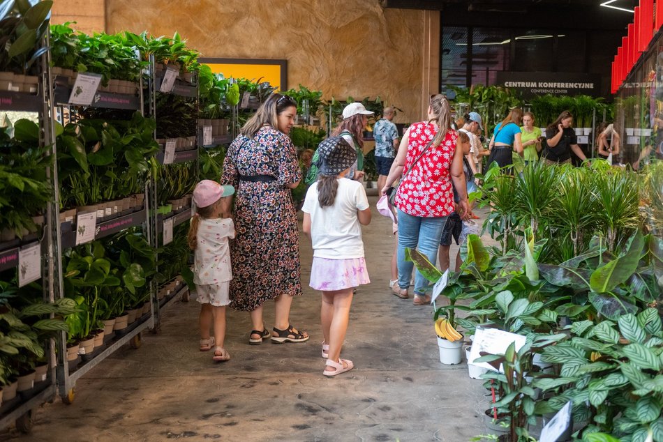 Łódź. Zielona Feta w Orientarium Zoo Łódź. Moc atrakcji na długi weekend