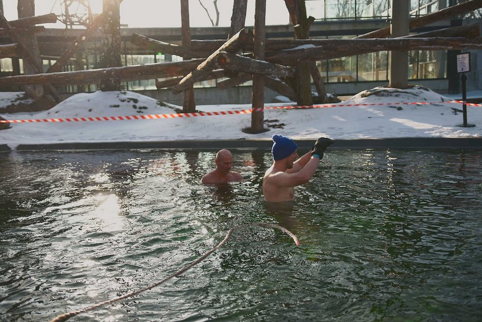 Łódź. Miłośnicy zimnych kąpieli w Orientarium Zoo Łódź