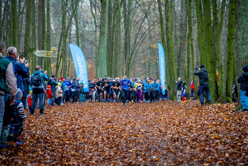 Cookie Run w Lesie Łagiewnickim w Łodzi