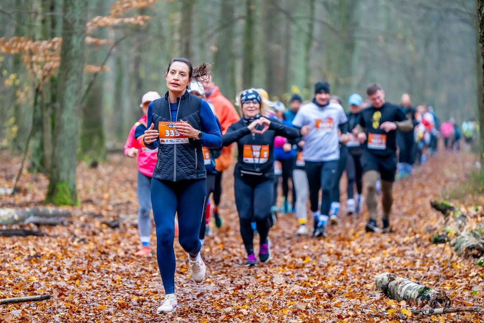 Cookie Run w Lesie Łagiewnickim w Łodzi