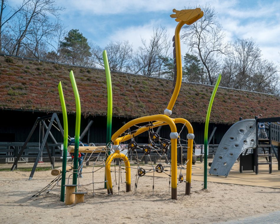 Łódź. Nowa żyrafa w Orientarium Zoo Łódź. Musisz ją poznać!