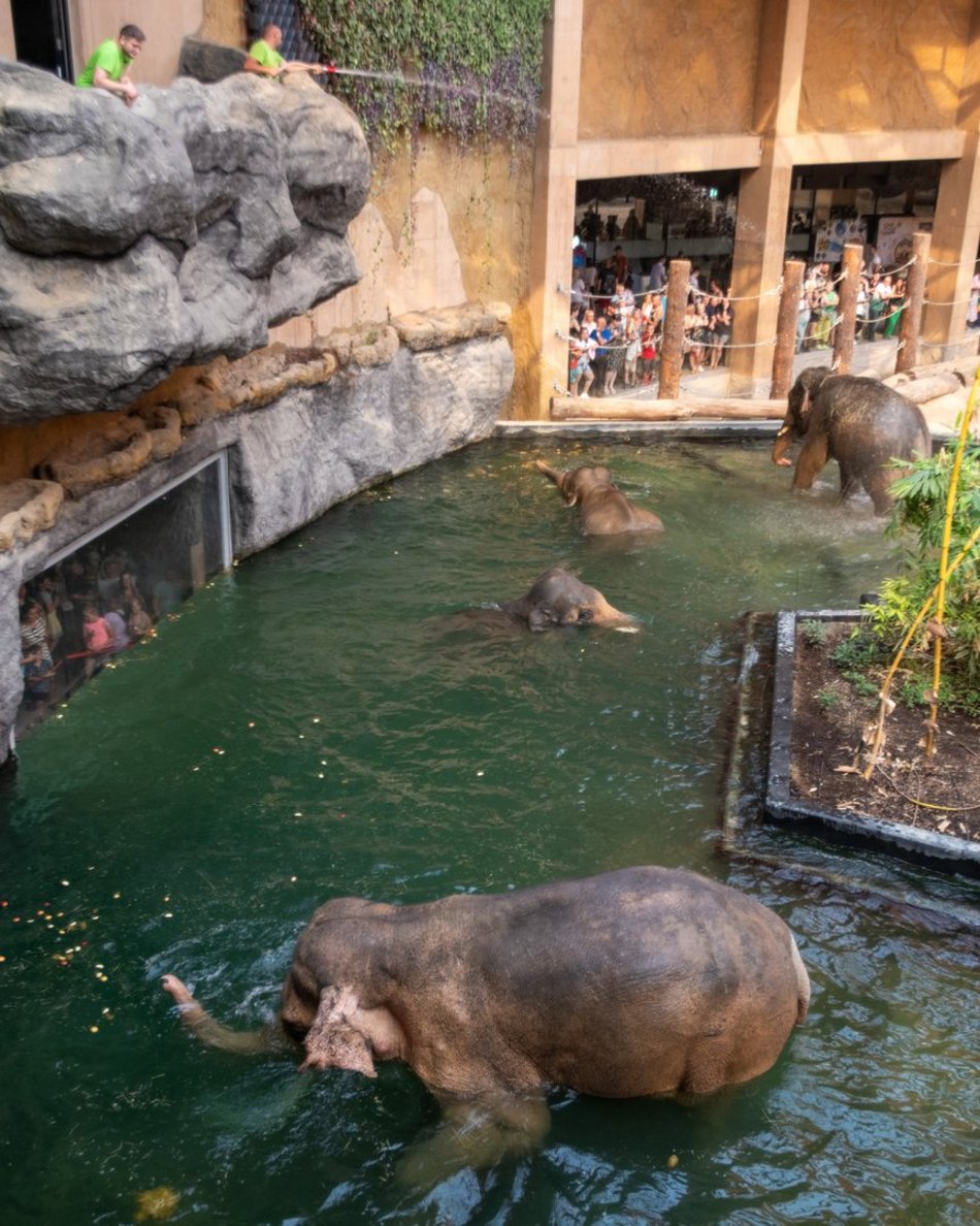 ogród zoologiczny