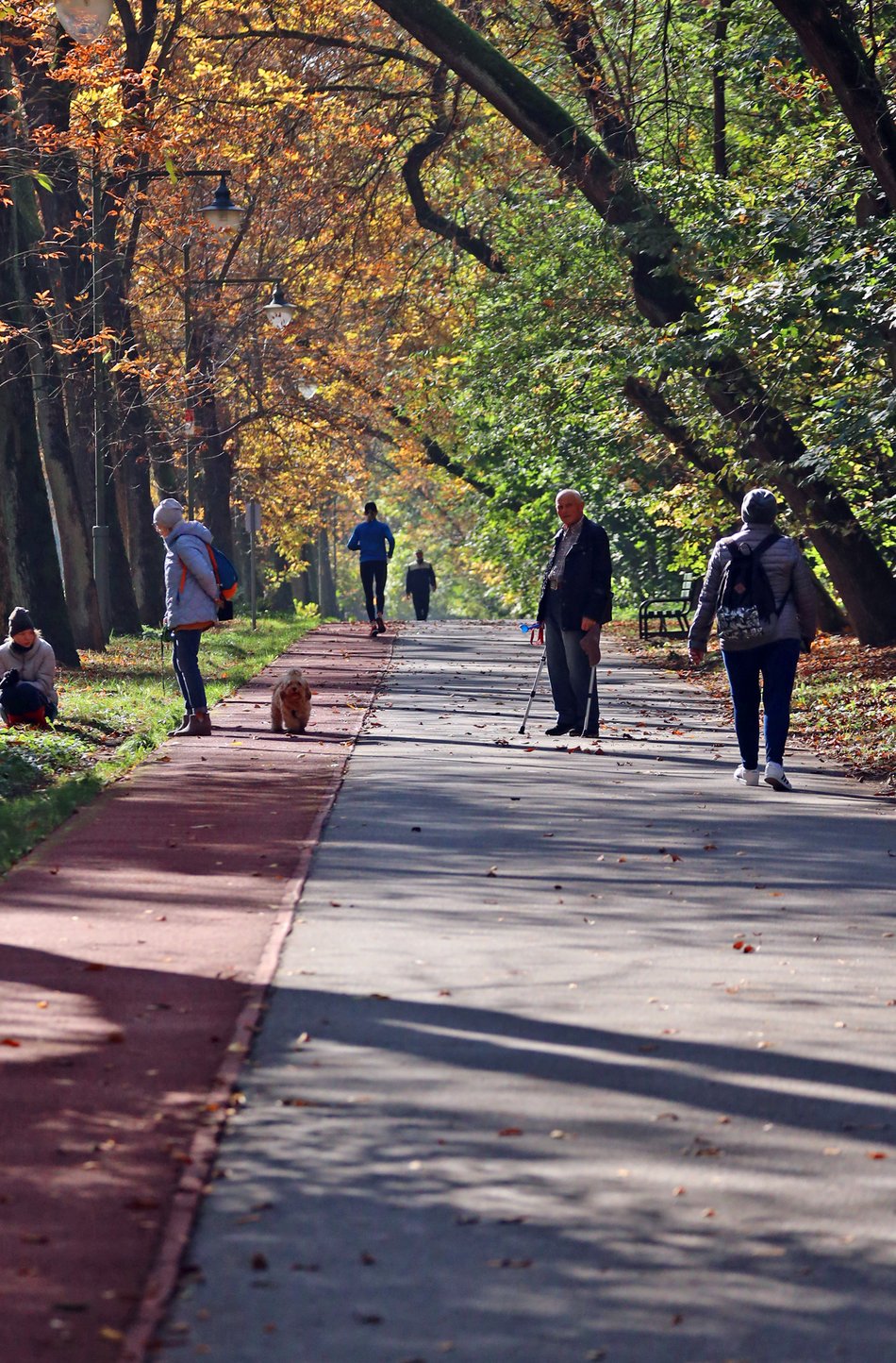 Złota polska jesień w parku na Zdrowiu