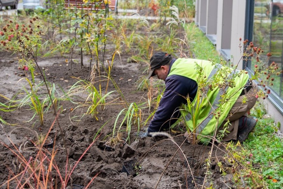 Nowy zieleniec przy Sass-Zdort, tuż przy Bibliotece Tuvim