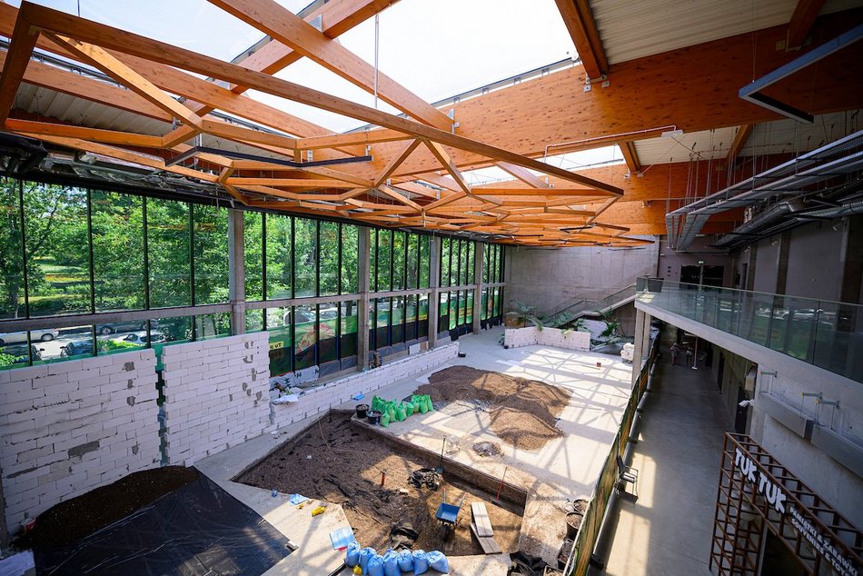 Łódź. Nowa atrakcja dla dzieci w Orientarium Zoo Łódź! Figloraj ze zjeżdżalniami, wieżą i tyrolką