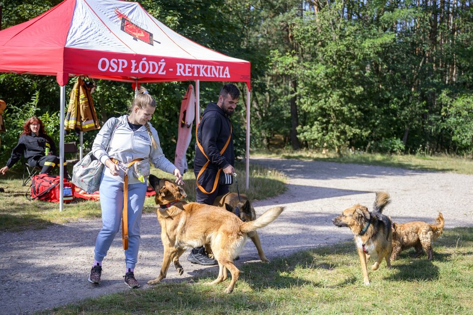 Psiejski piknik rodzinny na Uroczysku Lublinek w Łodzi. Co to była za zabawa!