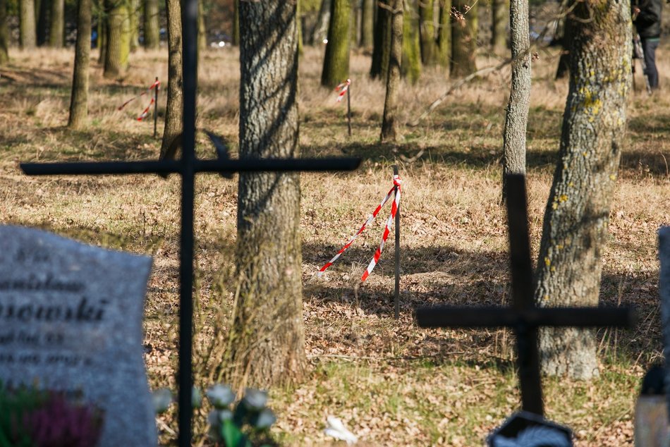 Las Pamięci na cmentarzu Szczecińska