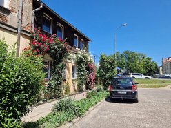 Najbardziej ukwiecony domek w Łodzi? Róże pokrywają niemal całą elewację