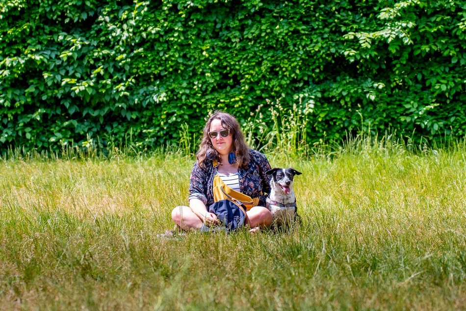 Jamnikówka w parku Poniatowskiego