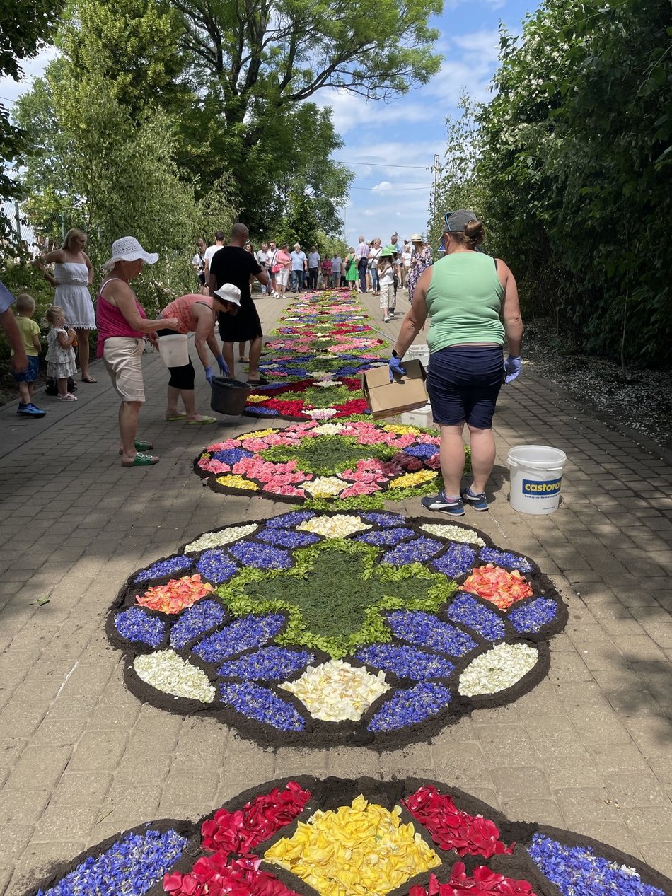 Kwiatowe dywany w Spycimierzu