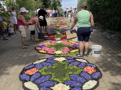 Kwiatowe dywany w Spycimierzu