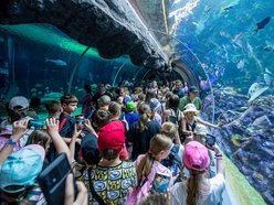 Łódź. Rekordowe 5,1 mln osób odwiedziło Łódź w 2025 roku! To korzyści dla miasta i Łodzian!